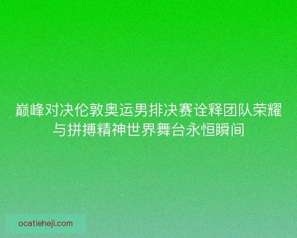 巅峰对决伦敦奥运男排决赛诠释团队荣耀与拼搏精神世界舞台永恒瞬间