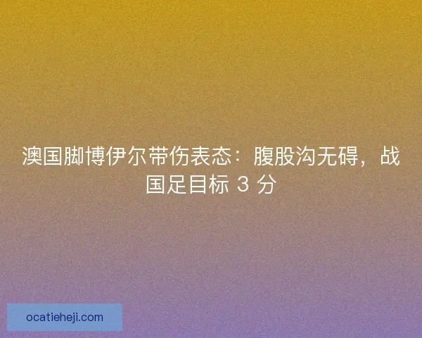 澳国脚博伊尔带伤表态：腹股沟无碍，战国足目标 3 分